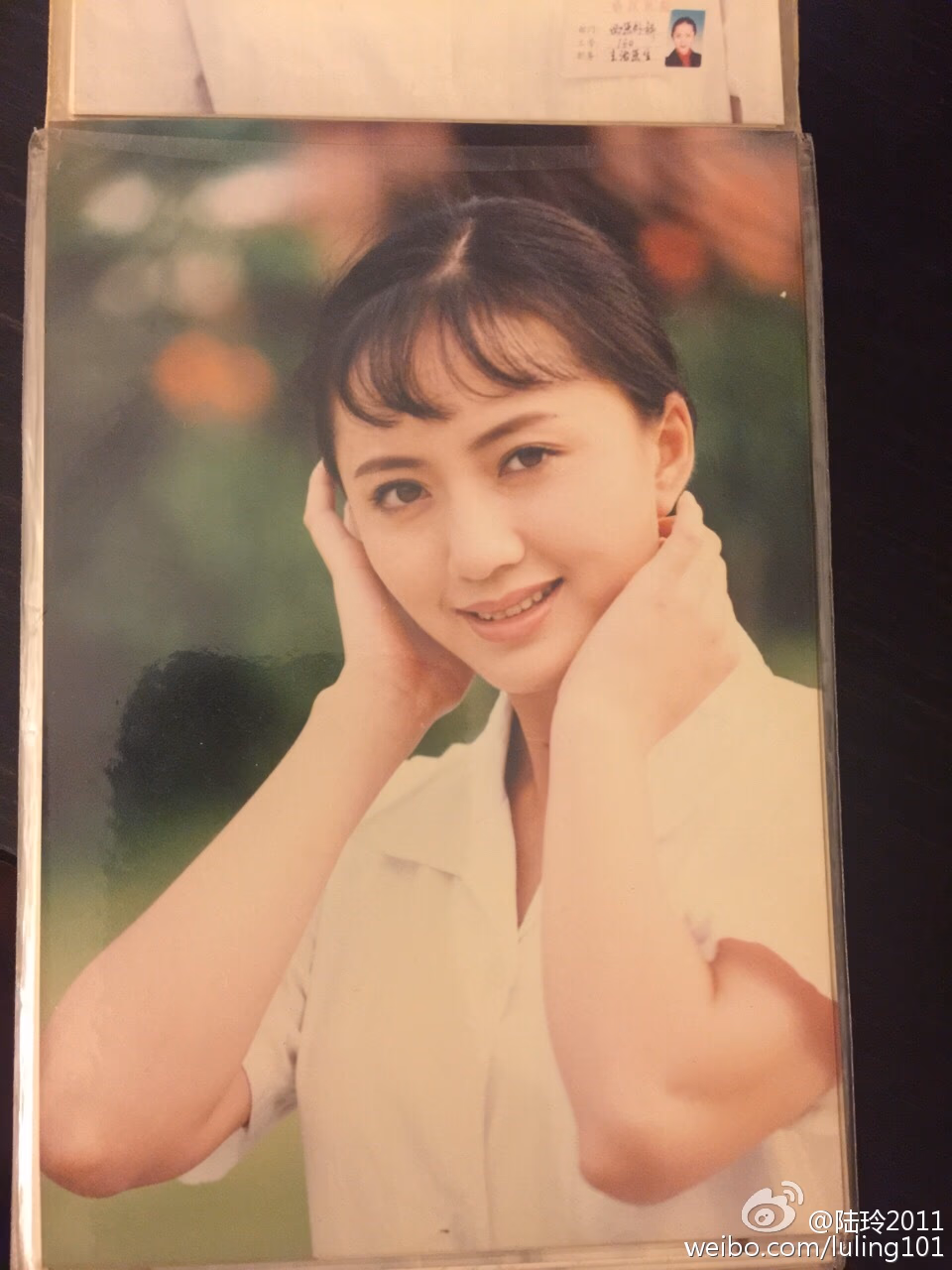陆玲 高清写真/照片下载 #3484028