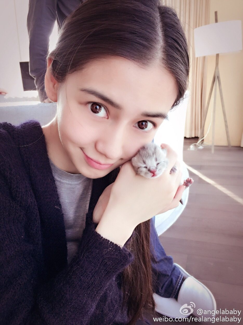 Angelababy HD Images/Photo Gallery Download #6646543
