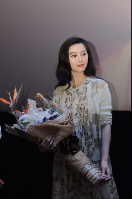ファン・ビンビン HD画像/フォトギャラリーダウンロード #1328203