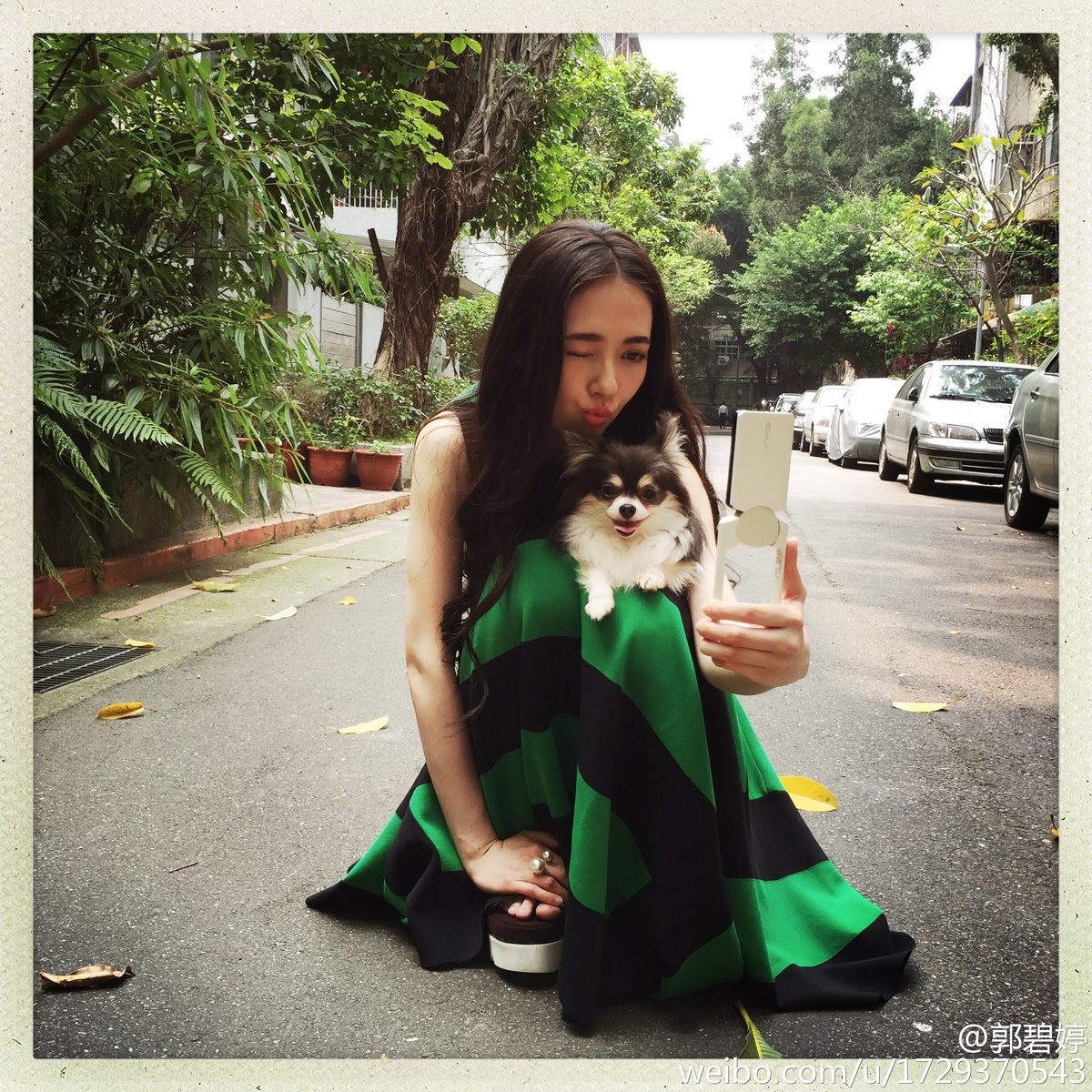 Bea Hayden Kuo HD Images/Photo Gallery Download #6729608