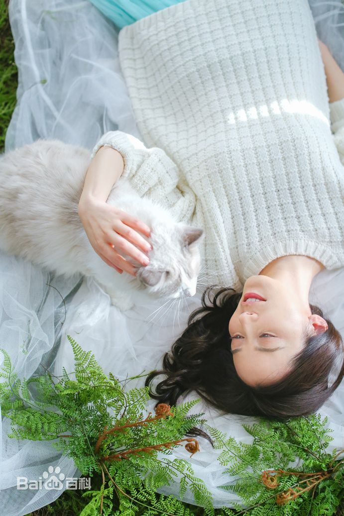 Feihong Yu HD Images/Photo Gallery Download #619702