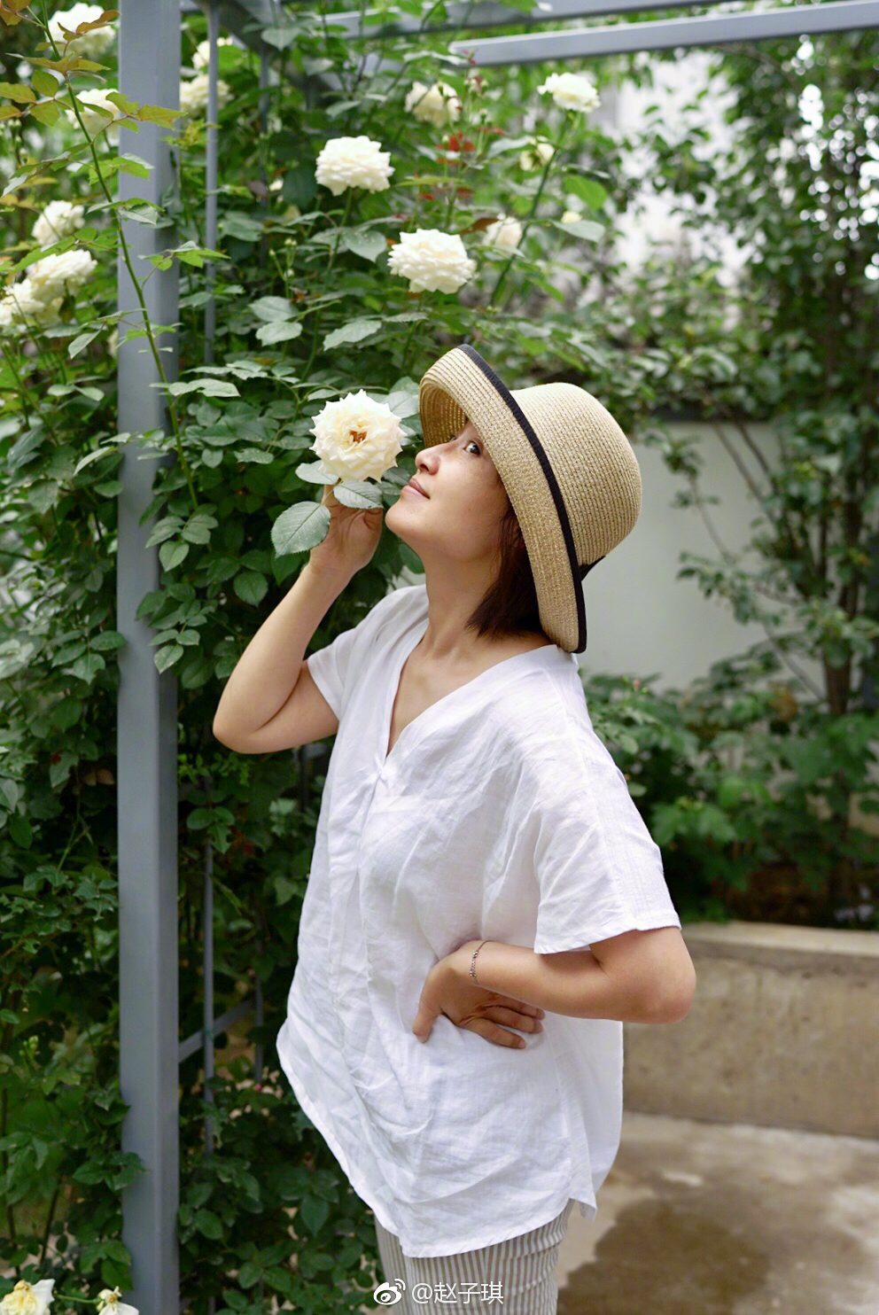 조자기 HD 이미지/사진 갤러리 다운로드 #6976545