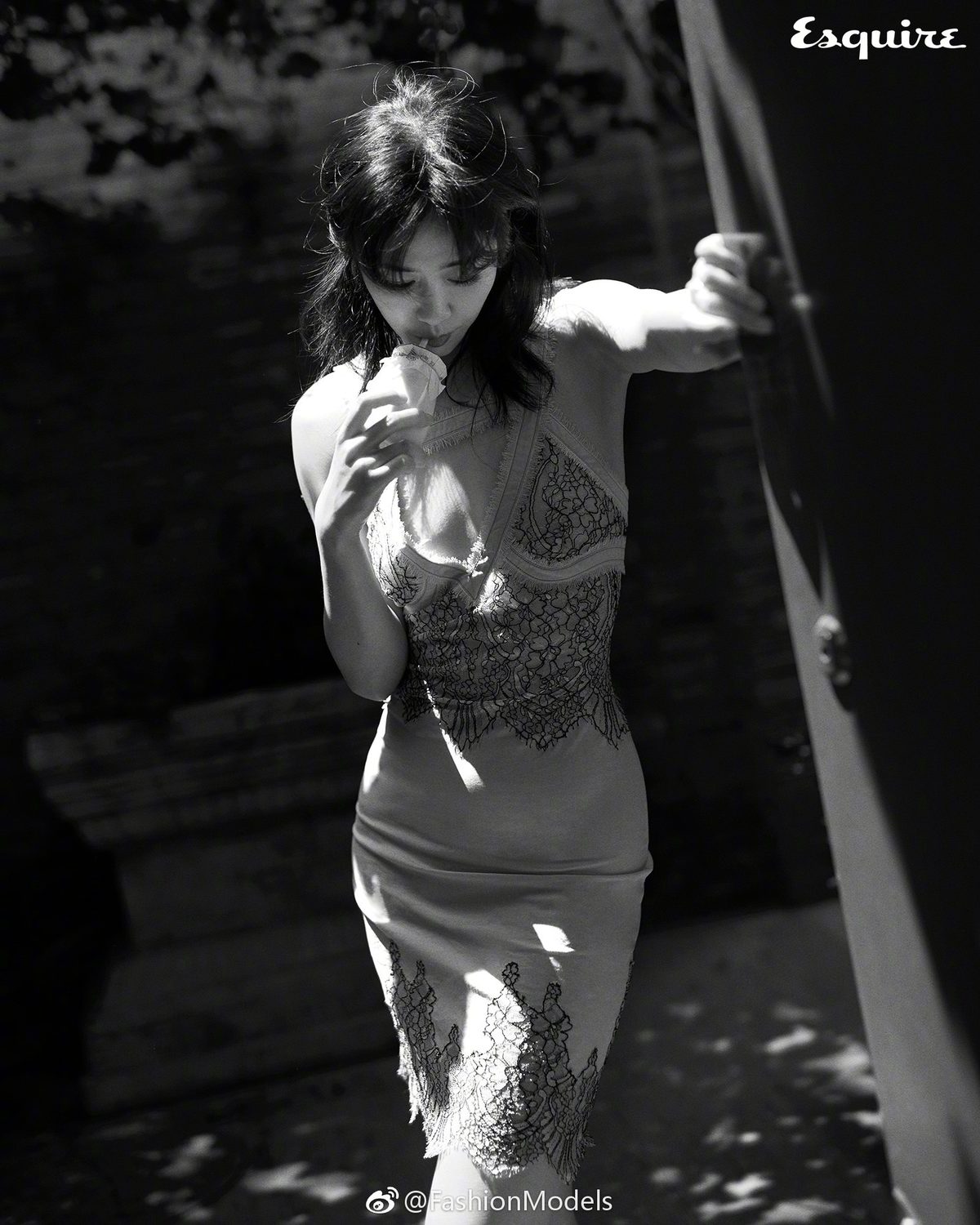 Zhuo Tan HD Images/Photo Gallery Download #1959898