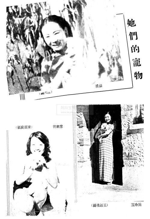 Butterfly Wu HD Images/Photo Gallery Download #825166
