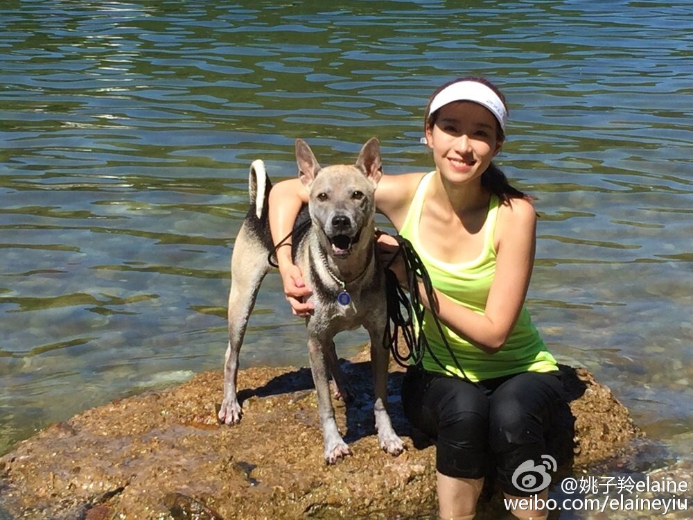 Elaine Yiu HD Images/Photo Gallery Download #1366693