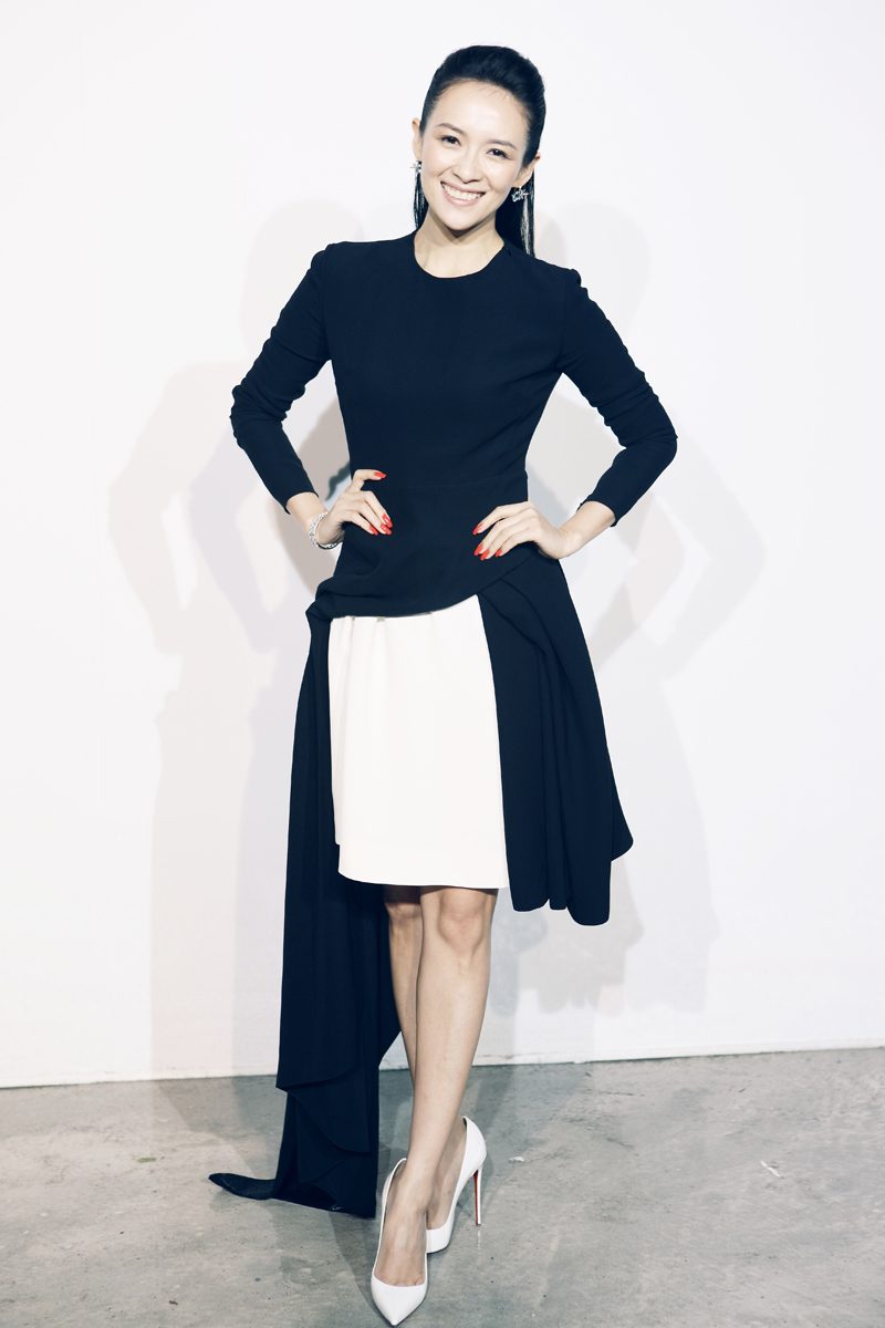 Ziyi Zhang HD Images/Photo Gallery Download #1565575