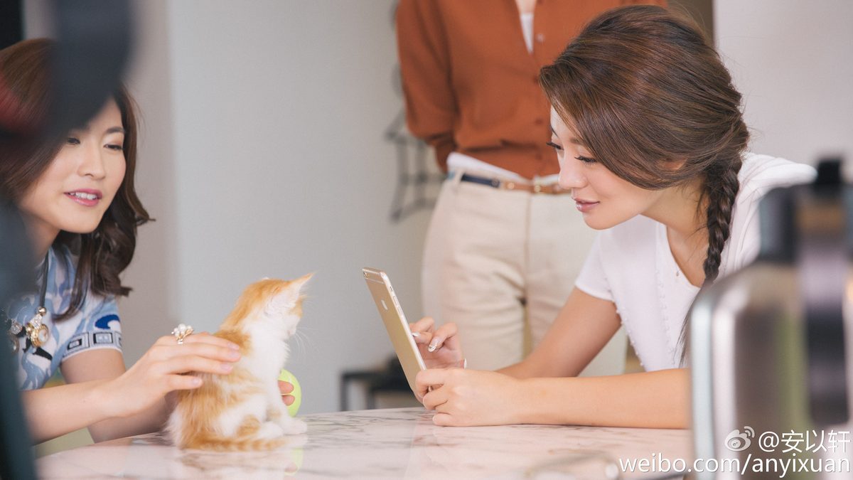 Ady An HD画像/フォトギャラリーダウンロード #1726993