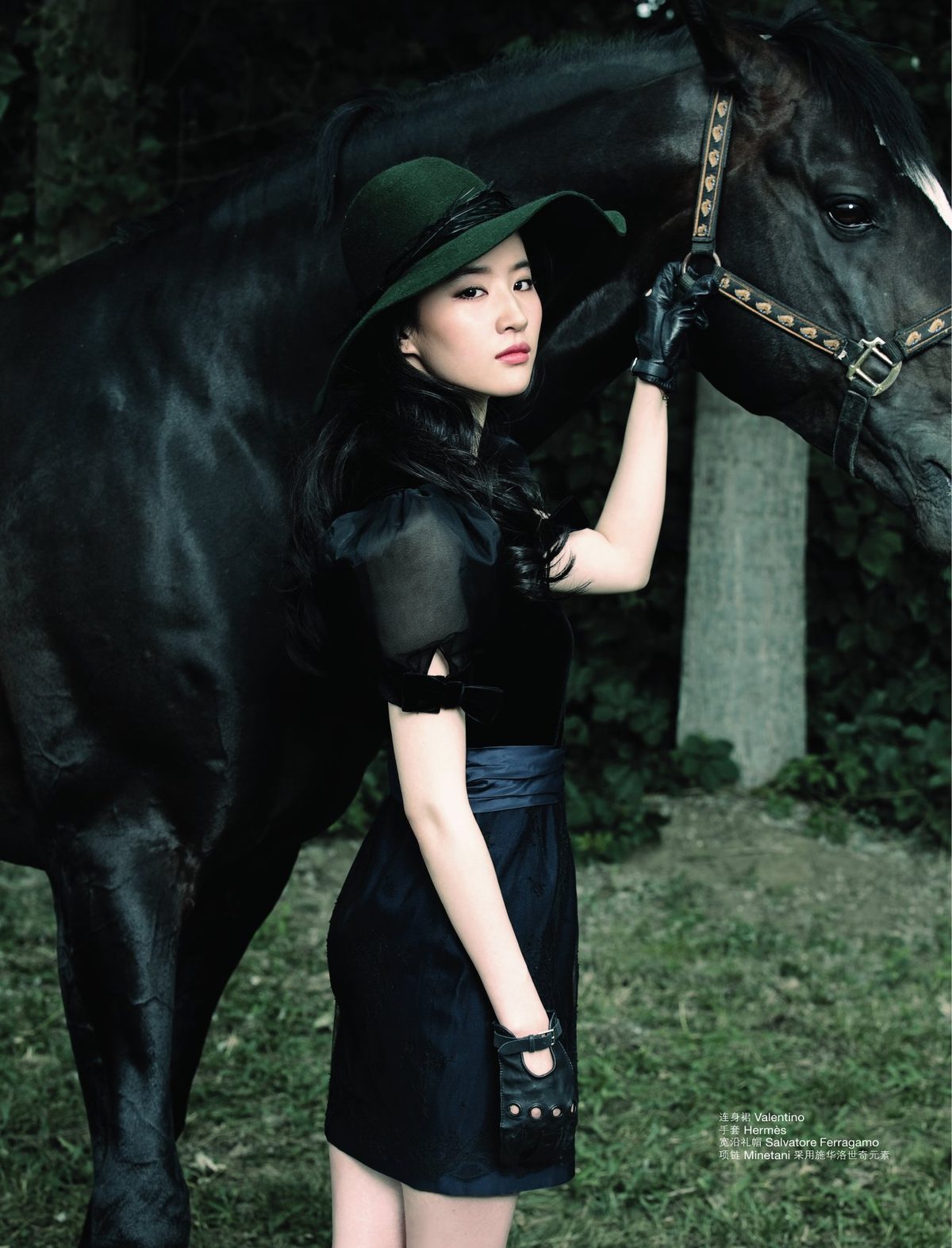 Liu Yifei HD Images/Photo Gallery Download #6690242