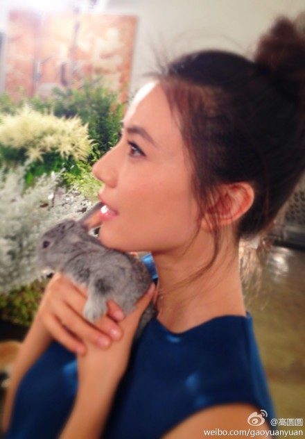 カオ・ユアンユアン HD画像/フォトギャラリーダウンロード #666676