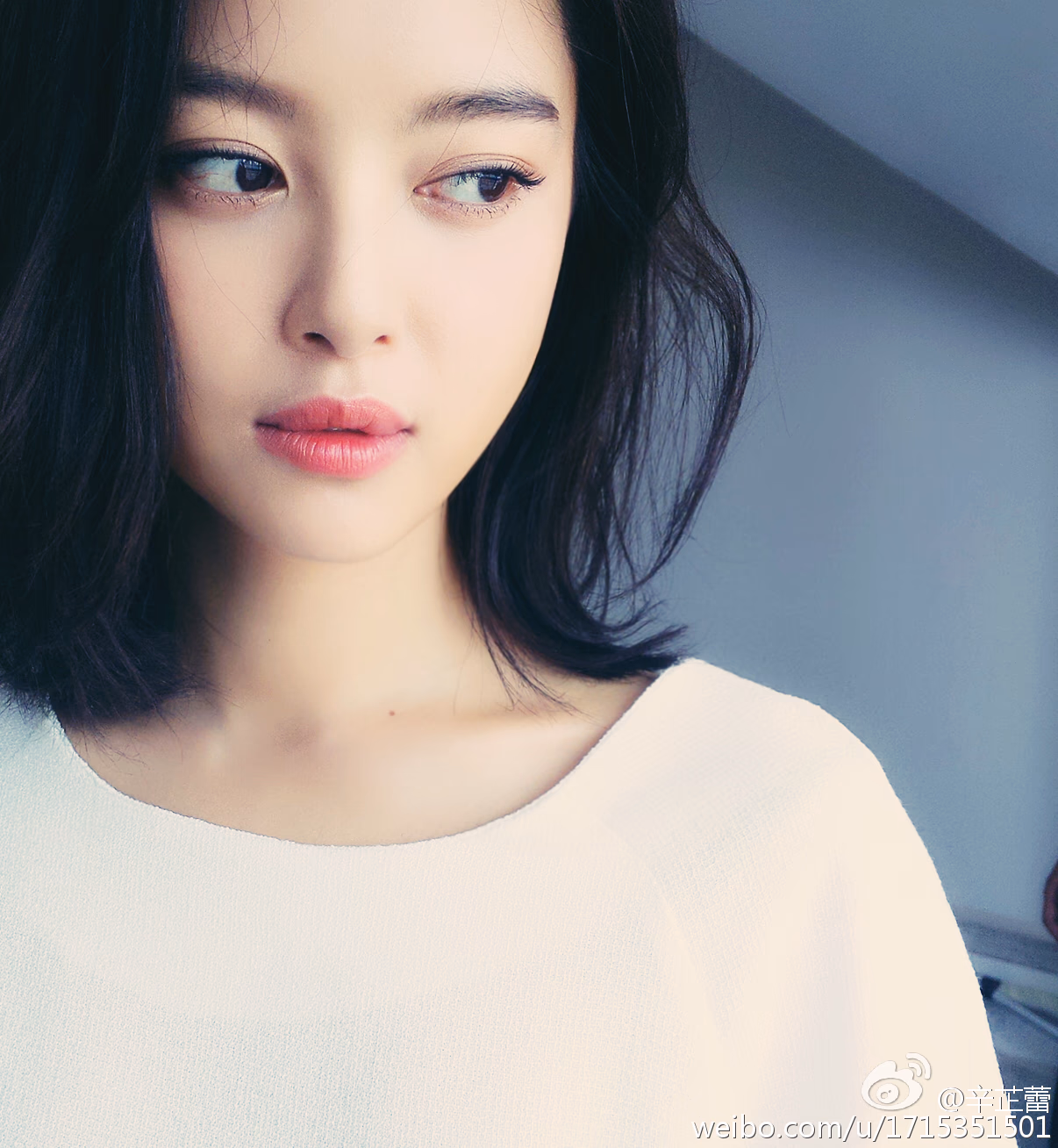 辛芷蕾 高清写真/照片下载 #3511264
