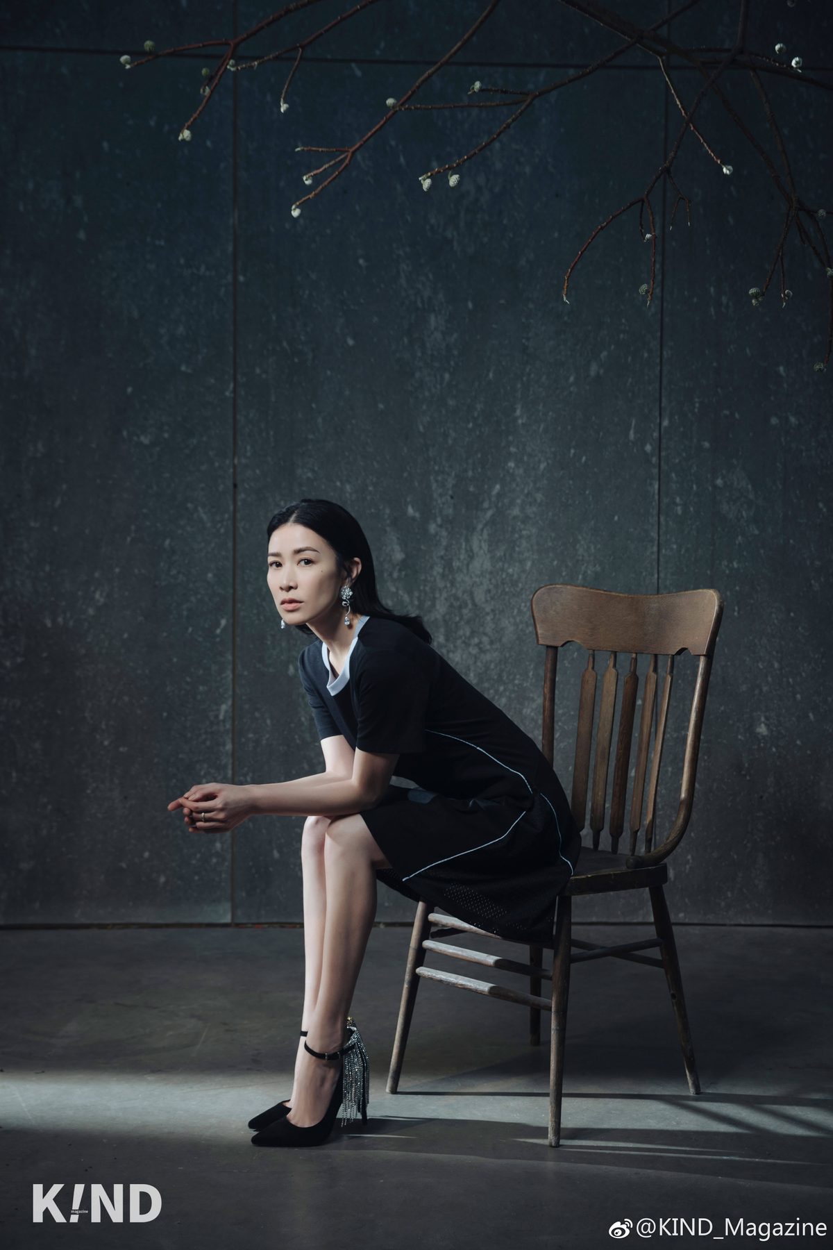 Charmaine Sheh HD Images/Photo Gallery Download #784048