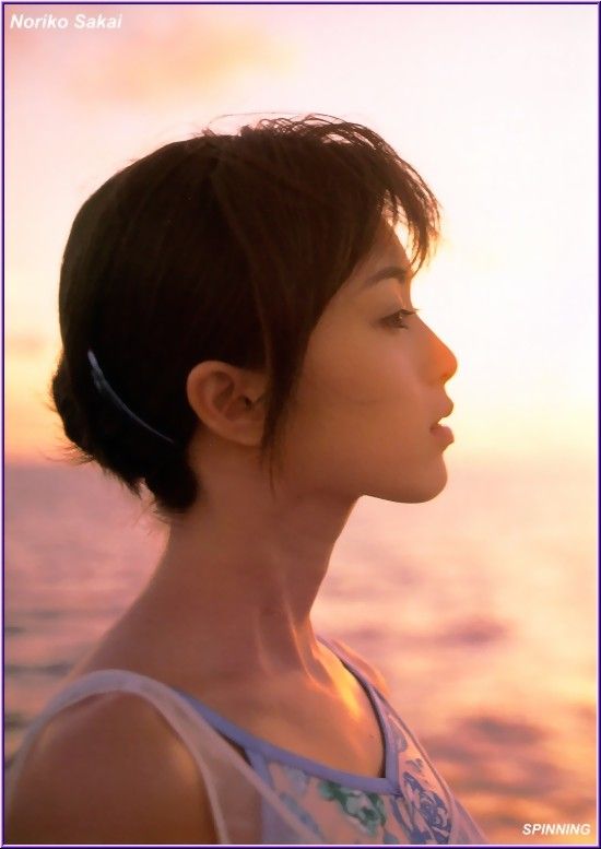 Noriko Sakai HD Images/Photo Gallery Download #9681742