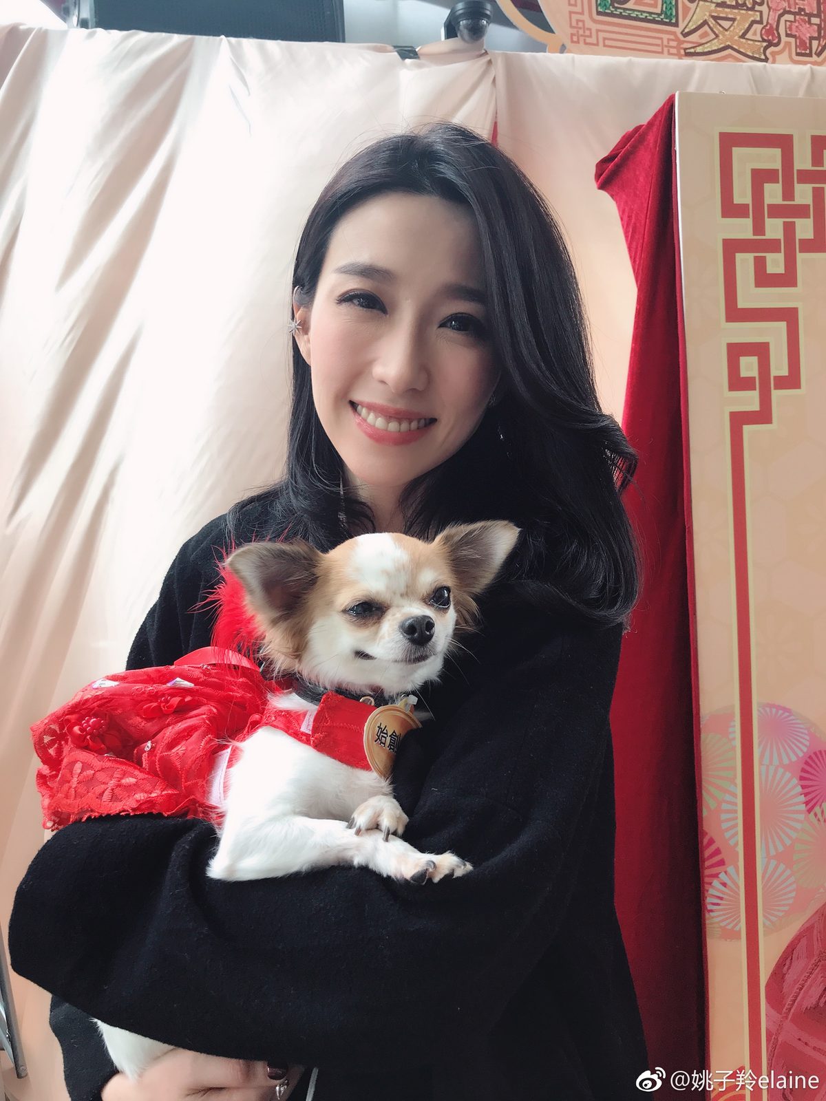 Elaine Yiu HD Images/Photo Gallery Download #1366780