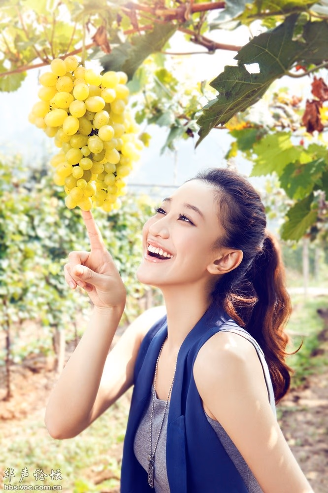 曾泳醍 高清写真/照片下载 #3336887