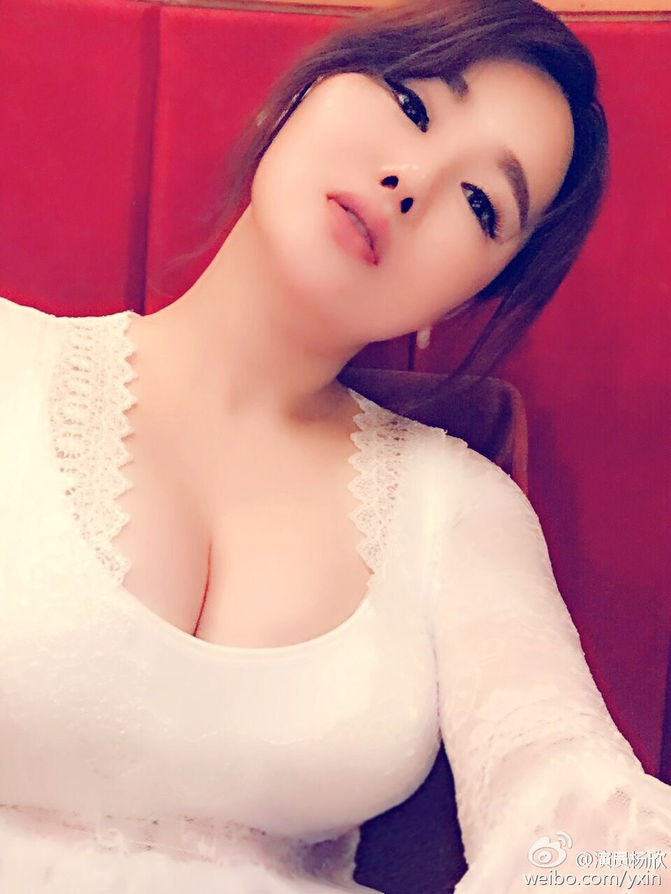Xin Yang HD画像/フォトギャラリーダウンロード #1550951