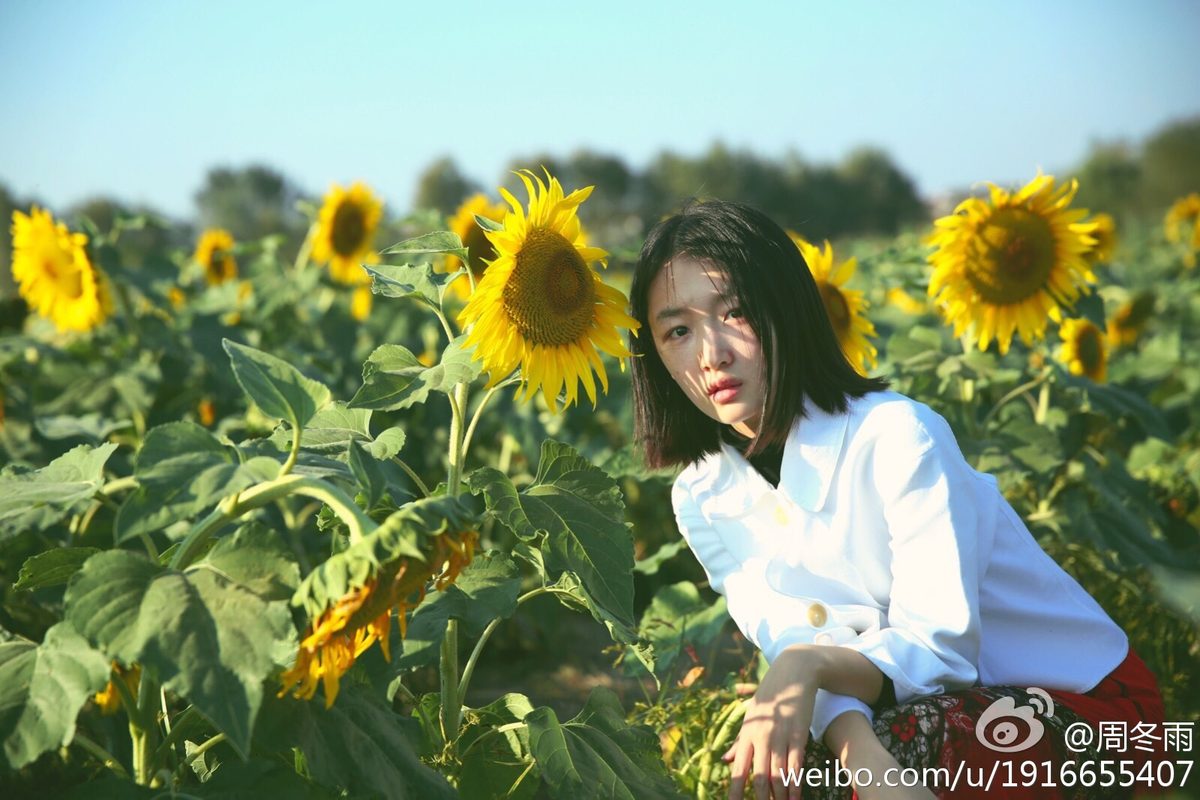 周冬雨 高清写真/照片下载 #1910935