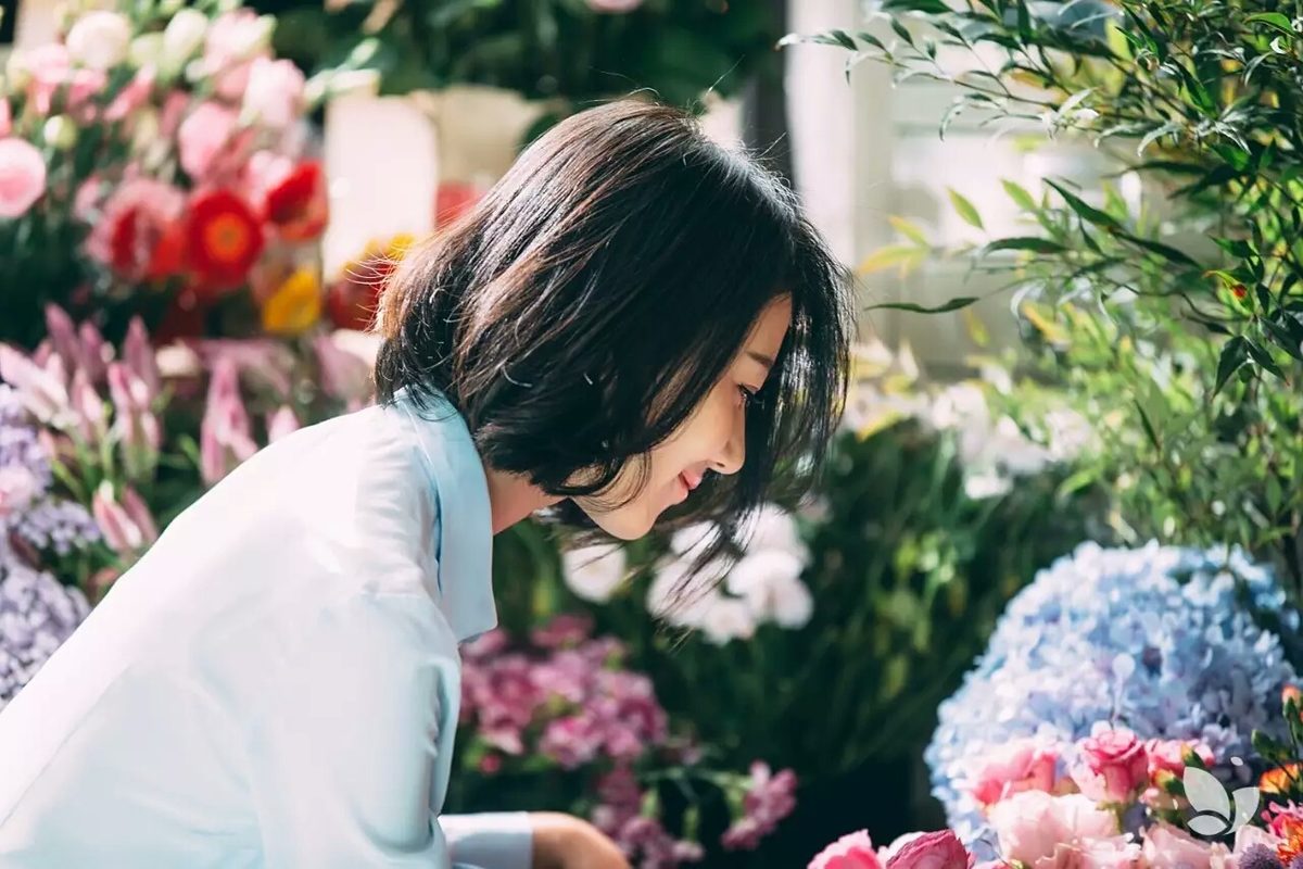 高圆圆 高清写真/照片下载 #661412