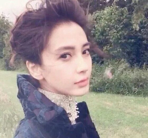 Angelababy HD Images/Photo Gallery Download #6647806