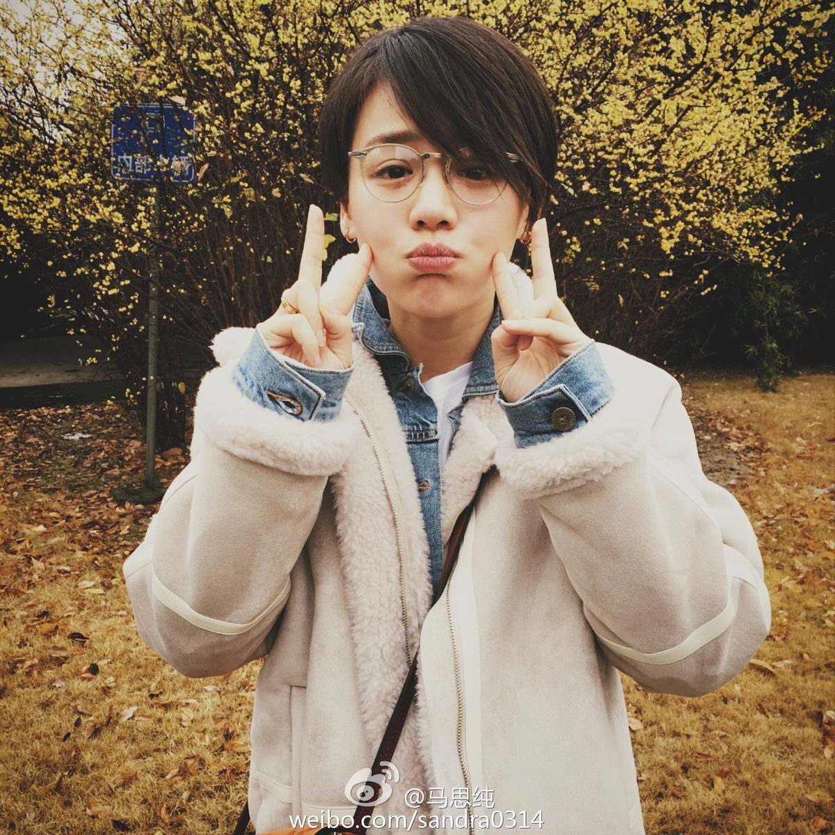 Sichun Ma HD Images/Photo Gallery Download #7098984