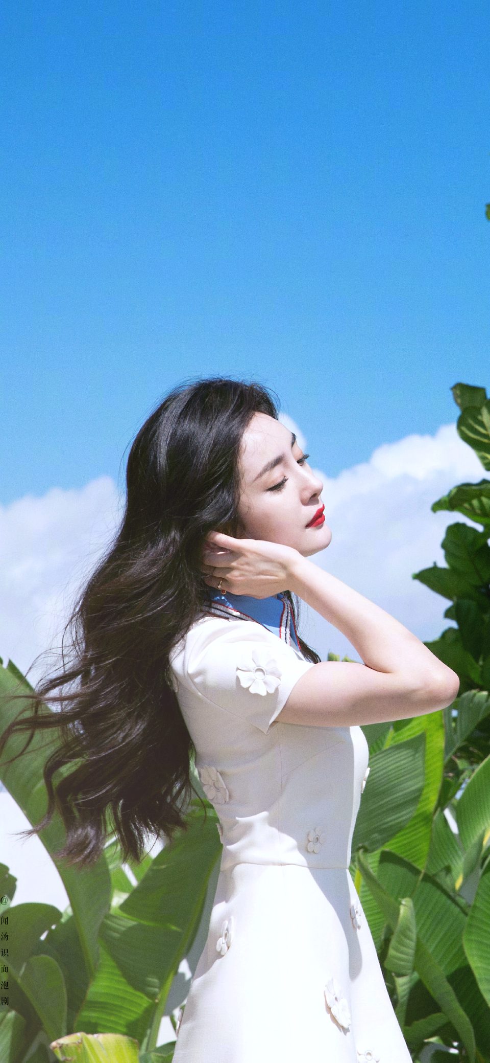 杨幂 高清写真/照片下载 #1412673