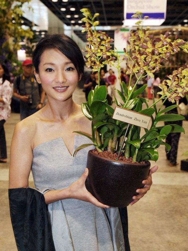 Xun Zhou HD Images/Photo Gallery Download #1582867