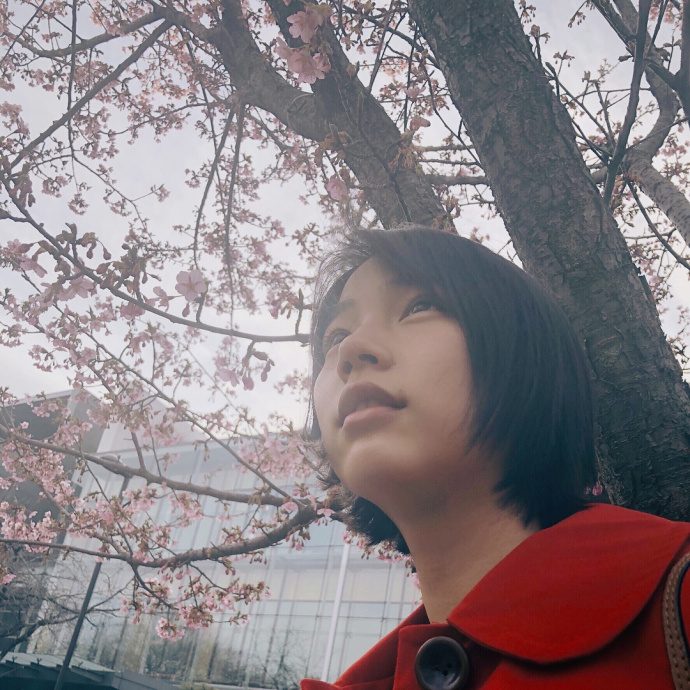 能年玲奈 高清写真/照片下载 #3560077