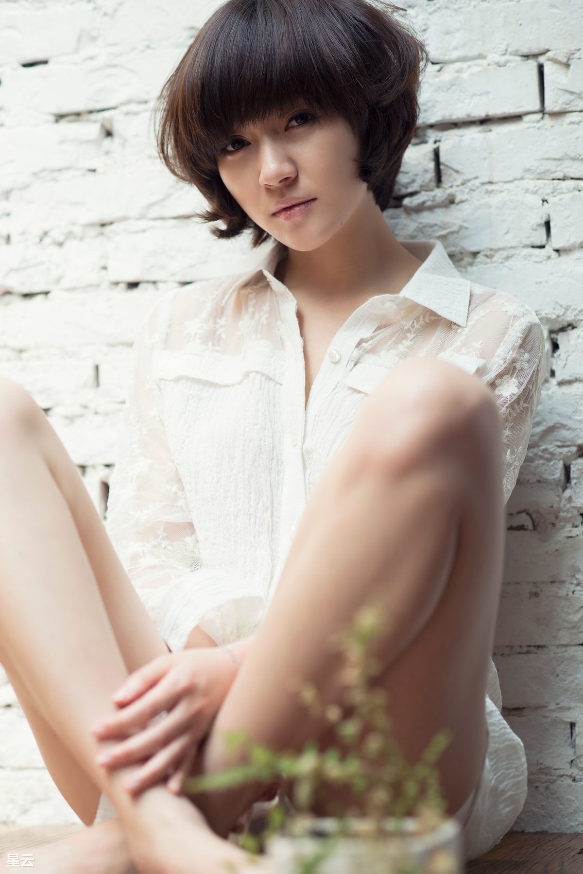 Junyan Jiao HD Images/Photo Gallery Download #1980110