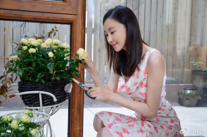 林静 高清写真/照片下载 #3330542