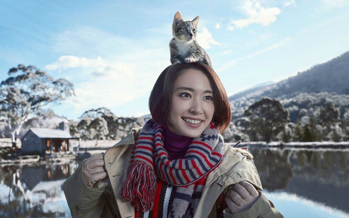 Yui Aragaki HD Images/Photo Gallery Download #7186050