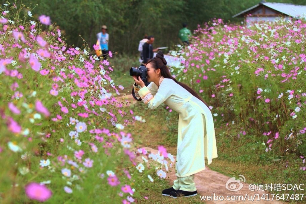 Fang Qian HD Images/Photo Gallery Download #7072135