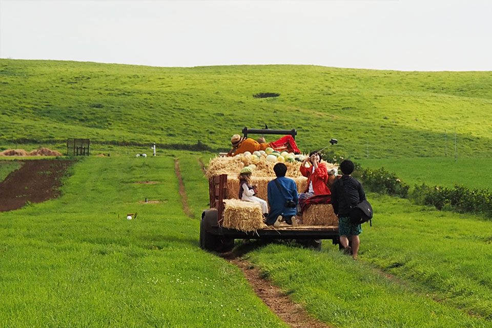 新垣结衣 高清写真/照片下载 #847138