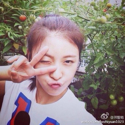 Ha Ji-Won HD Images/Photo Gallery Download #1572244