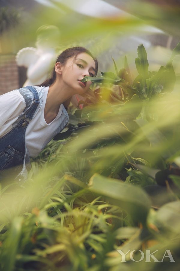 Angelababy HD Images/Photo Gallery Download #6647451