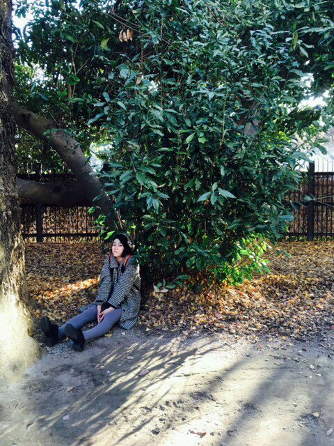 Rena Nounen HD Images/Photo Gallery Download #3461954