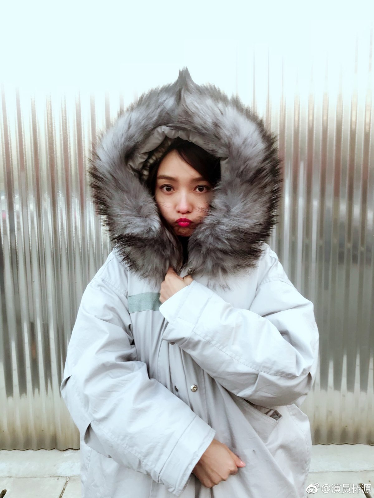 Yuan Lin HD画像/フォトギャラリーダウンロード #1503543