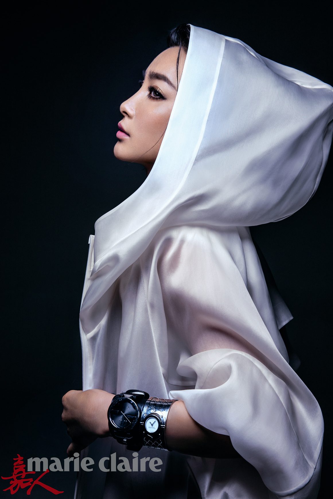 Bingbing Li HD Images/Photo Gallery Download #1402145