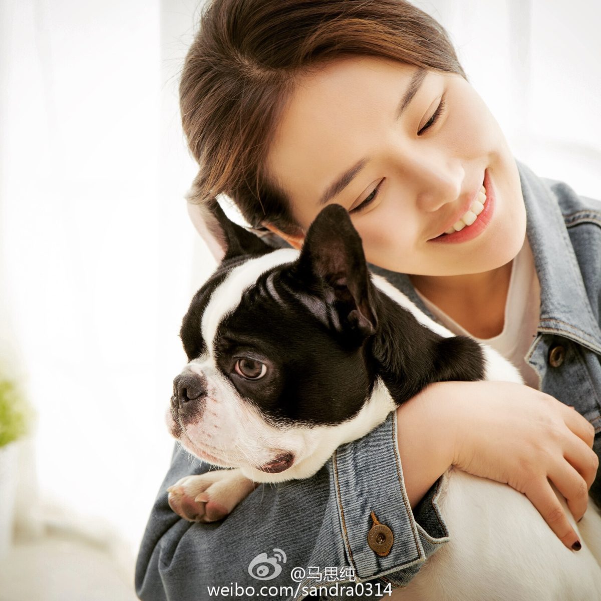 Sichun Ma HD Images/Photo Gallery Download #7047567