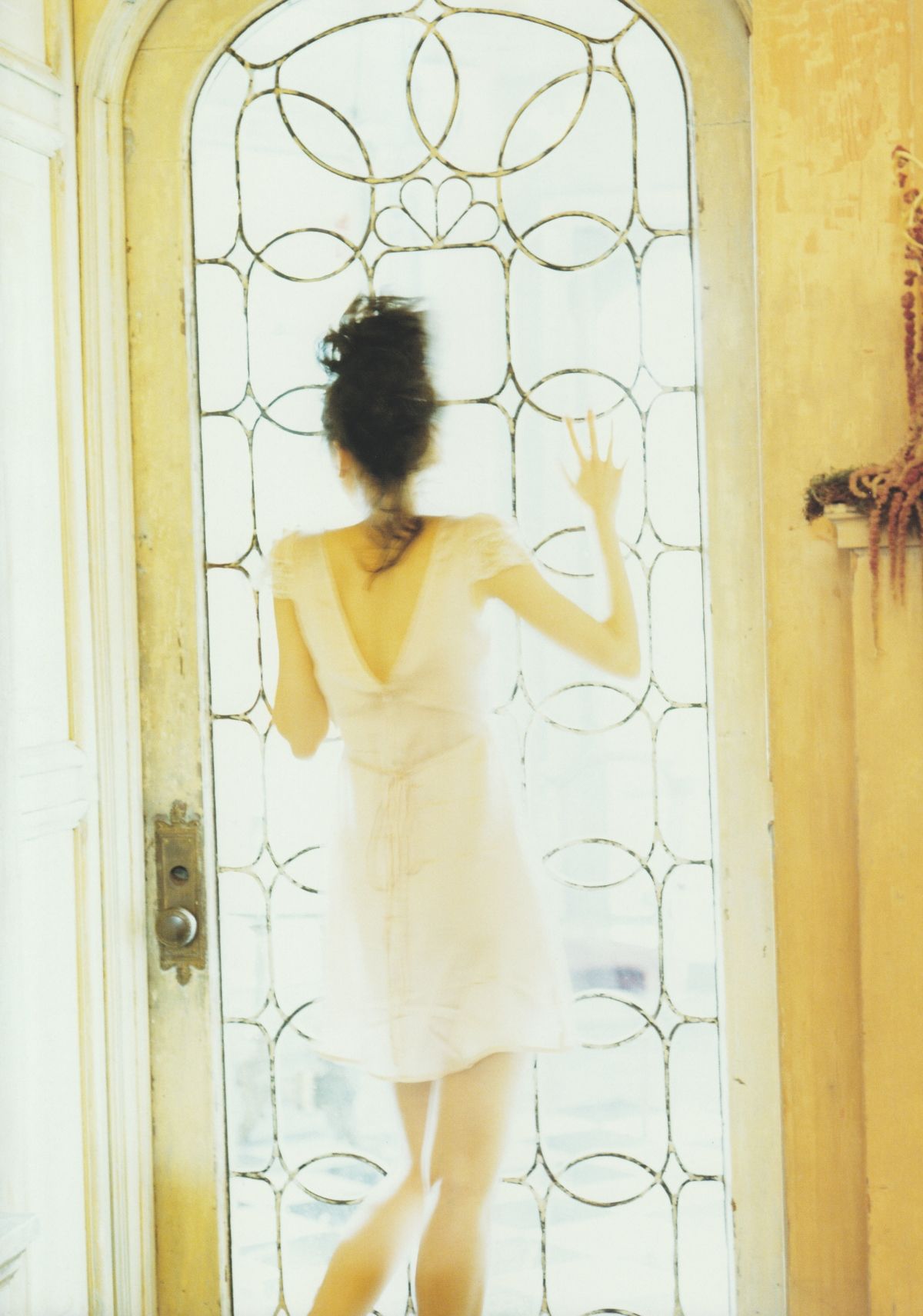 新垣结衣 高清写真/照片下载 #801569