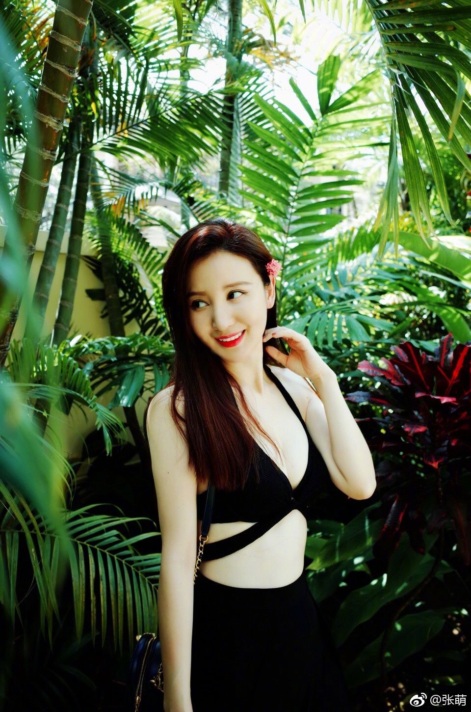 Meng Zhang HD Images/Photo Gallery Download #7021507