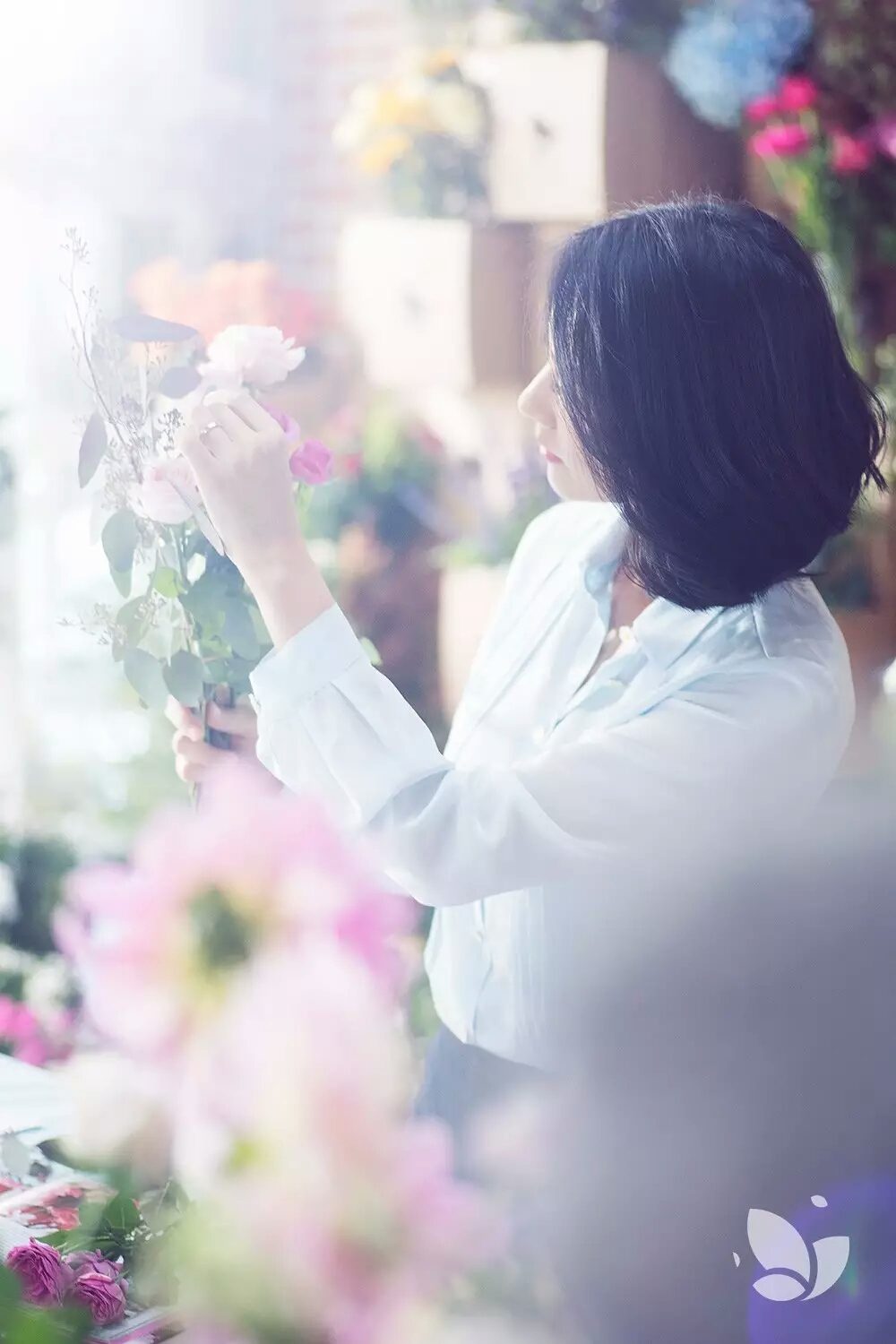 高圆圆 高清写真/照片下载 #670070