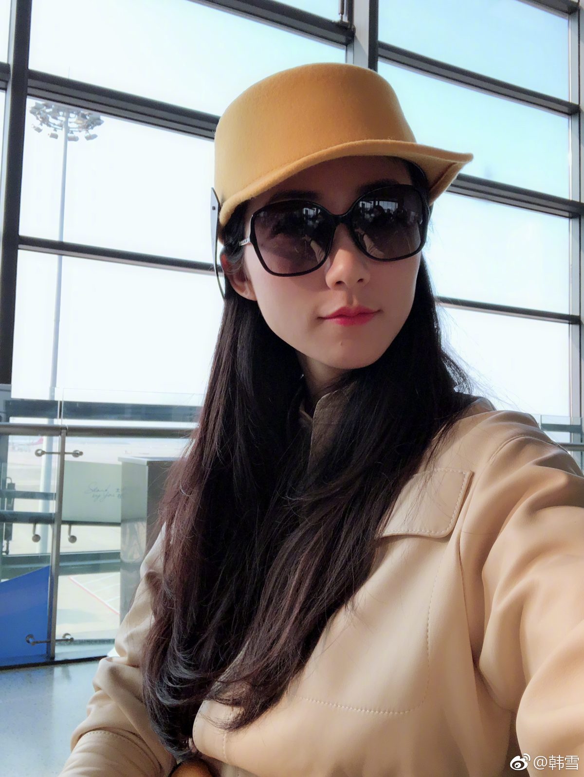 한쉐 HD 이미지/사진 갤러리 다운로드 #6712151