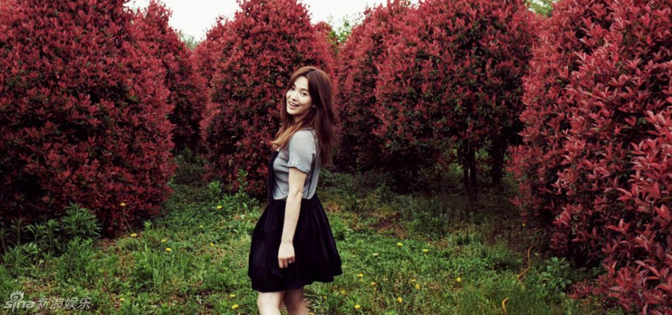 Hye-kyo Song HD Images/Photo Gallery Download #1770787