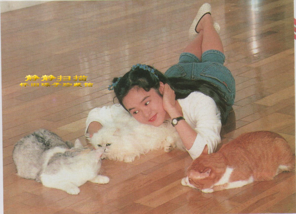 Gloria Yip HD Images/Photo Gallery Download #806541