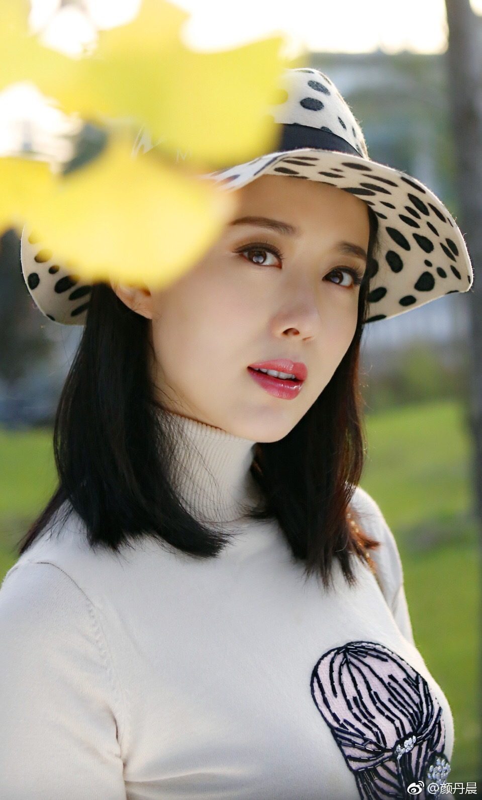 Danchen Yan HD画像/フォトギャラリーダウンロード #928443