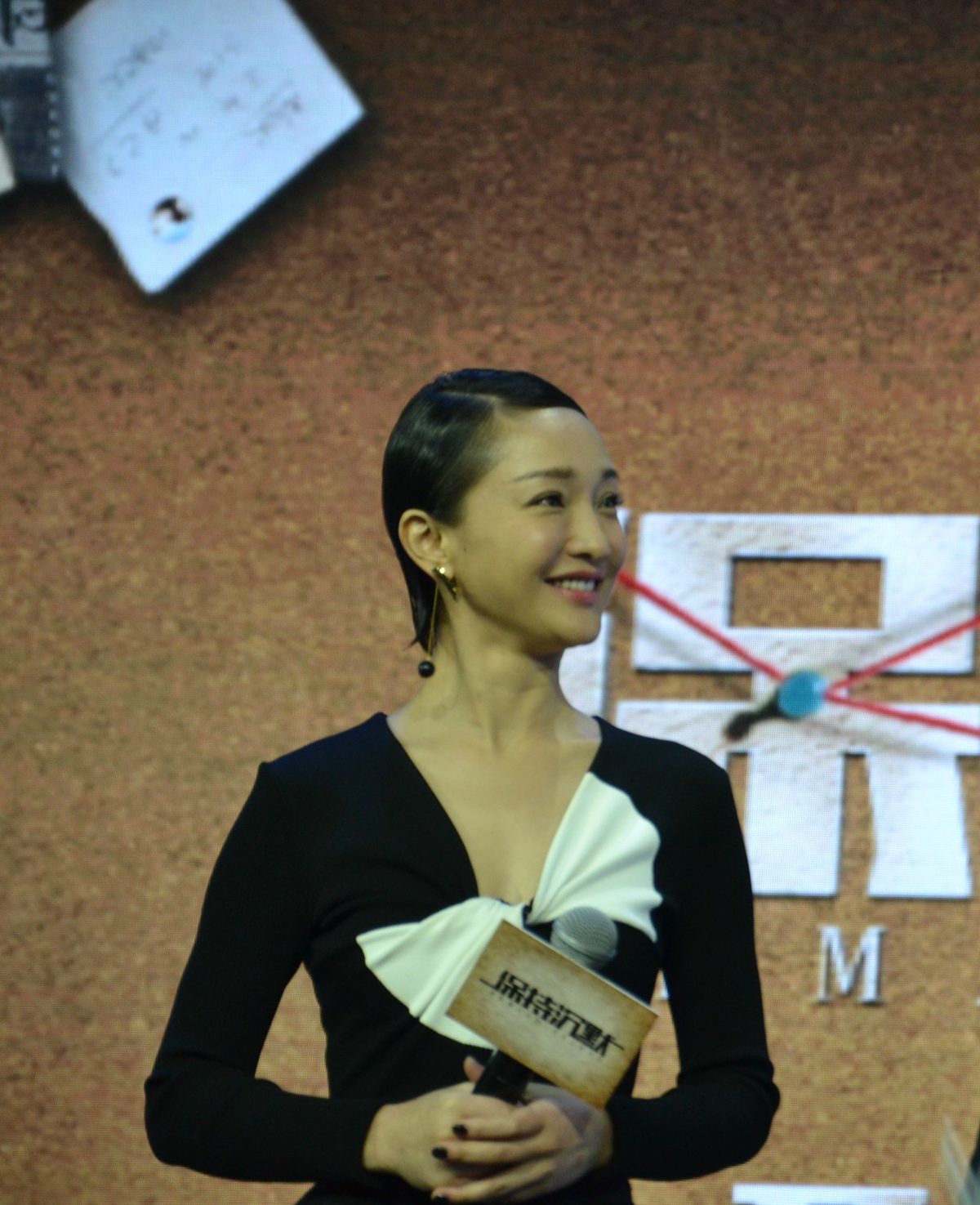 Xun Zhou HD Images/Photo Gallery Download #1582512