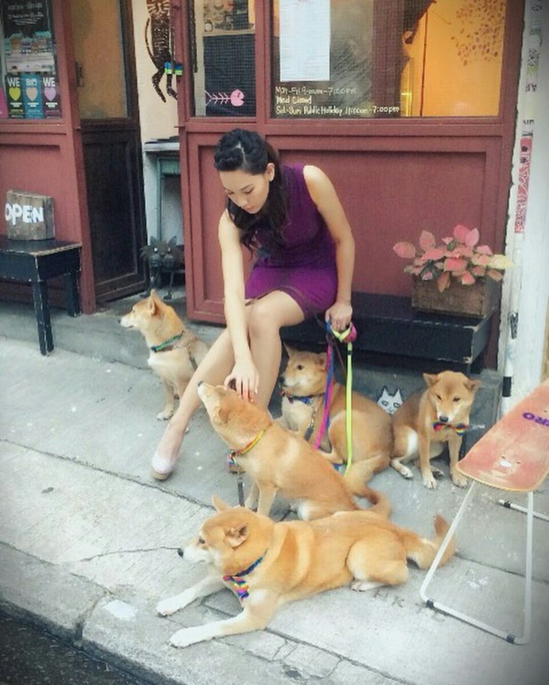 Kate Tsui HD Images/Photo Gallery Download #614557