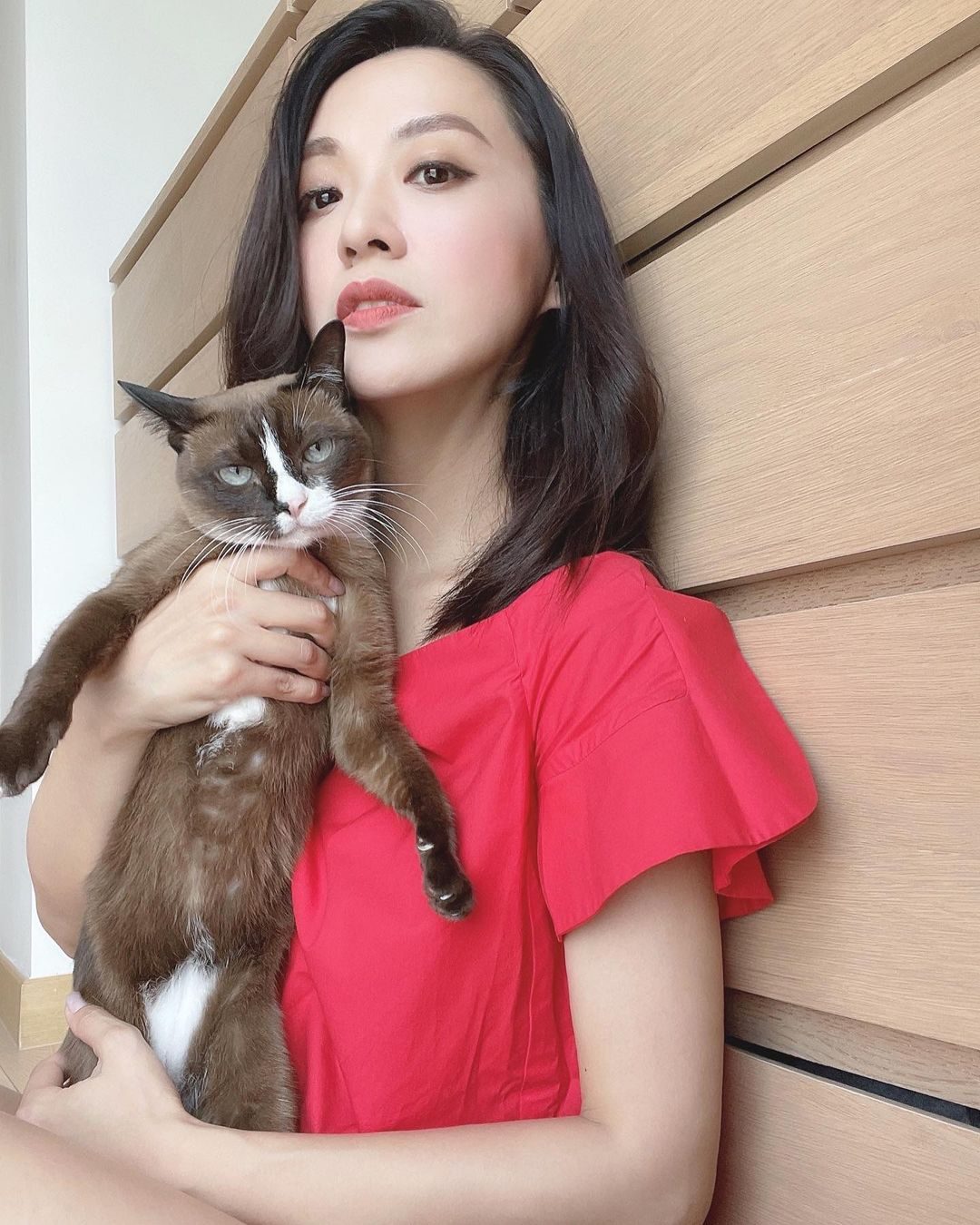 진위 HD 이미지/사진 갤러리 다운로드 #6993285