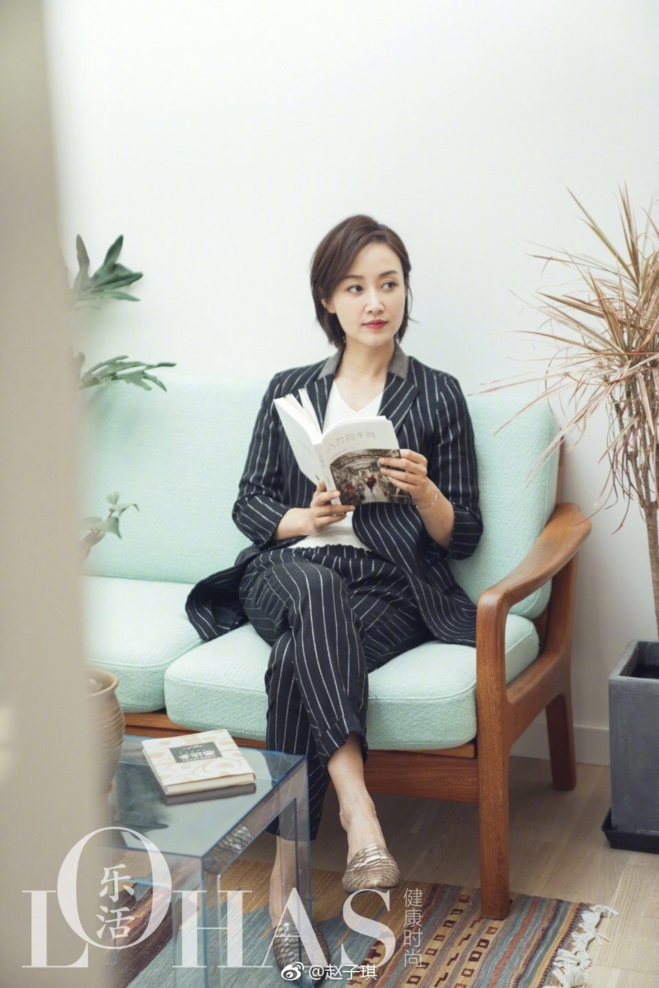 조자기 HD 이미지/사진 갤러리 다운로드 #6976522