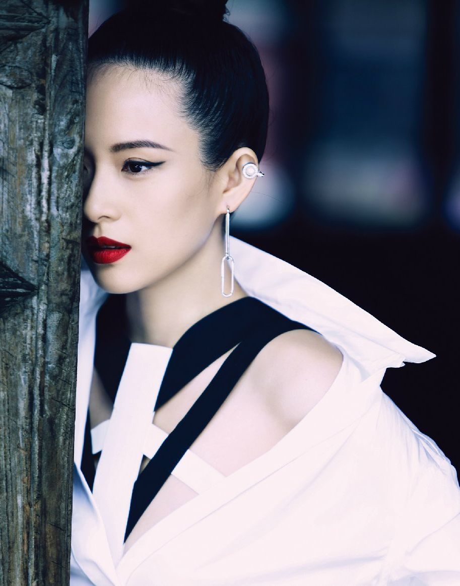 Ziyi Zhang HD Images/Photo Gallery Download #1042453