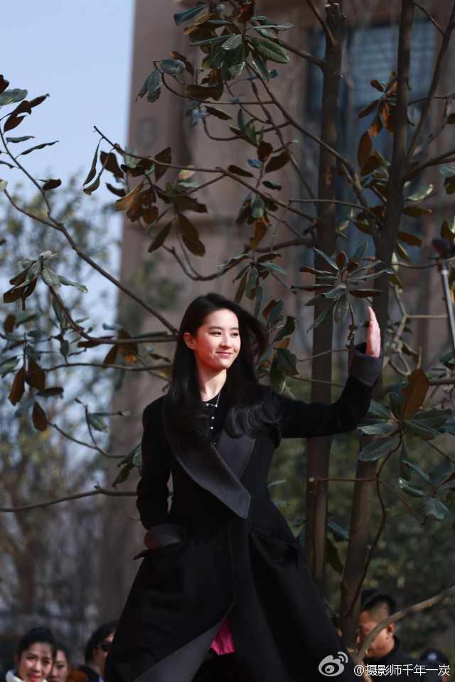 Liu Yifei HD Images/Photo Gallery Download #6670828